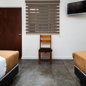 Standard Two Beds